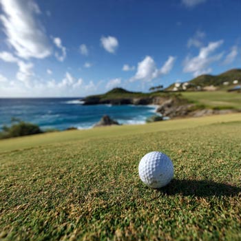 Port Royal - Golf Course Intel